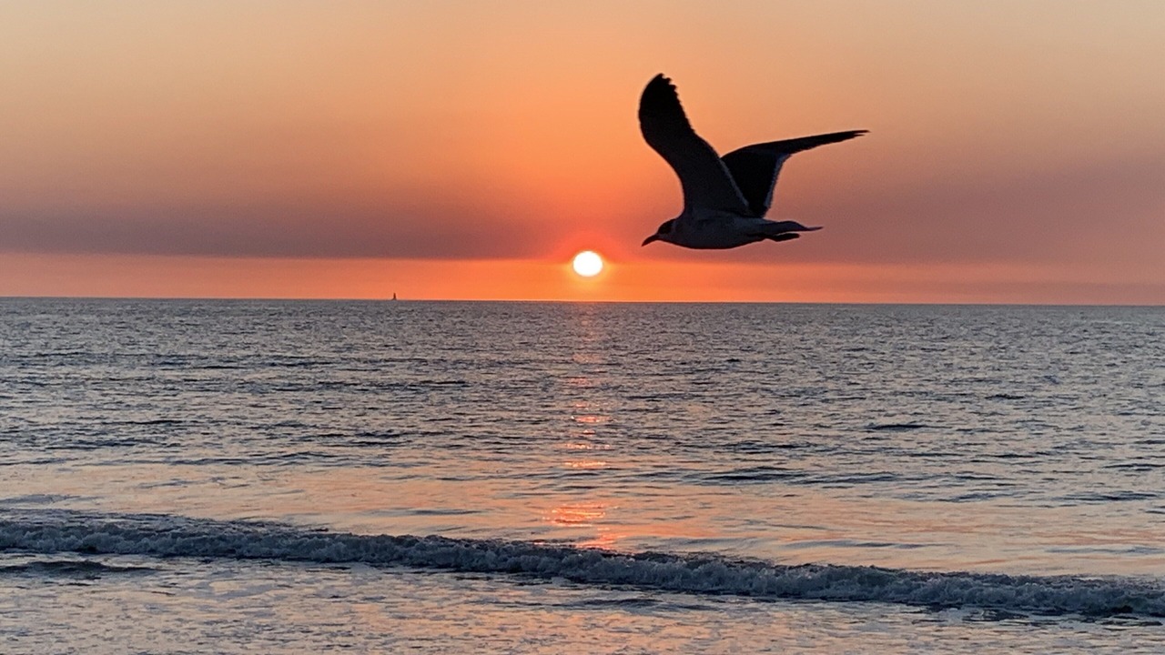 Photo of Others in Bonita Springs