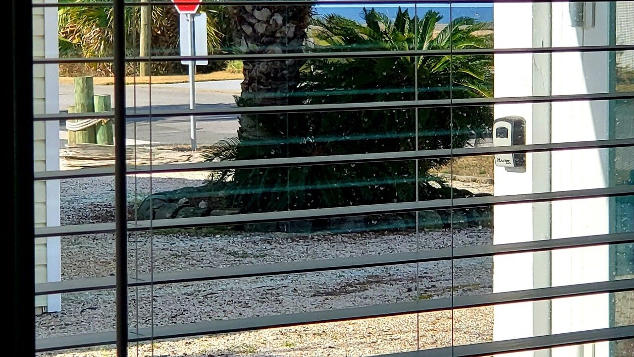 Photo of Bedroom in Mexico Beach