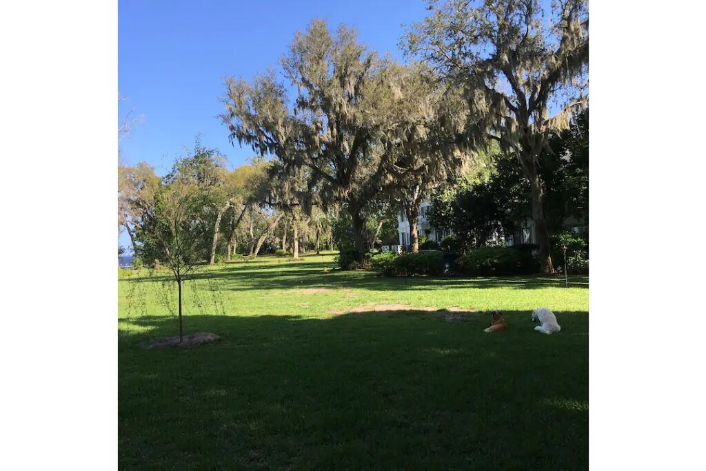 Photo of Outdoor in Green Cove Springs