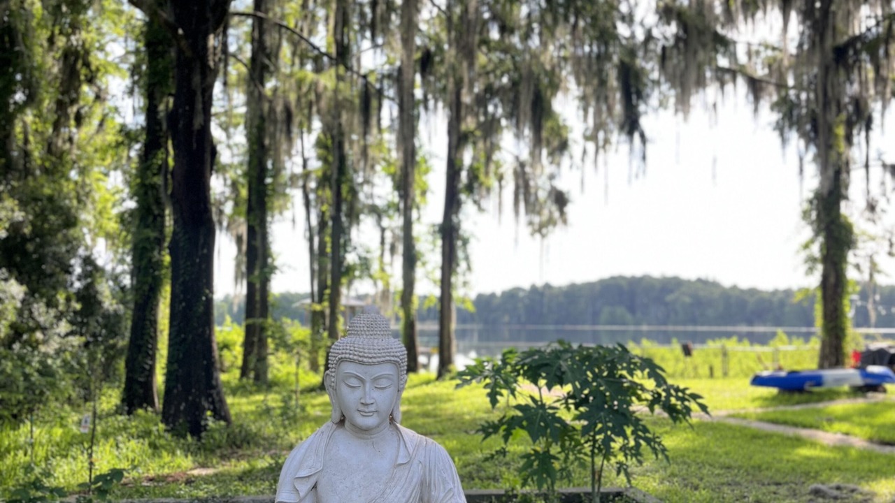 Photo of Outdoor in Land O' Lakes