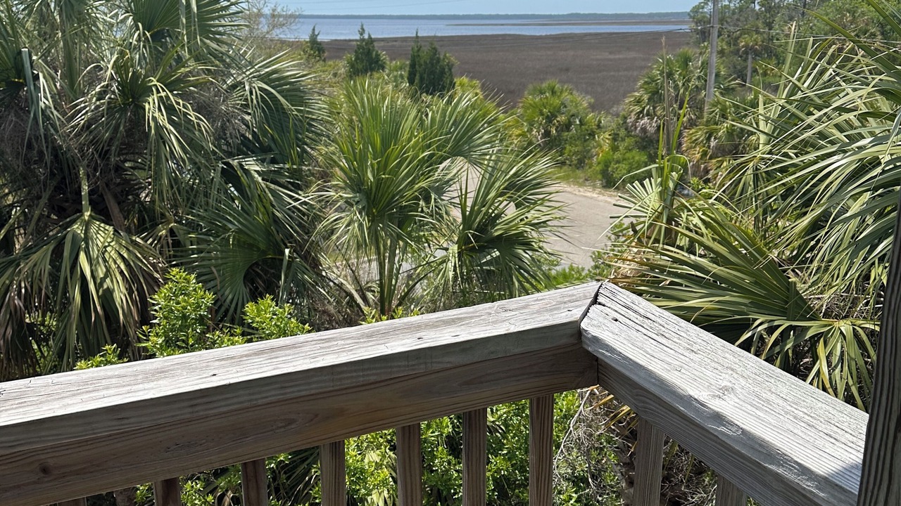 Photo of Outdoor in Crawfordville