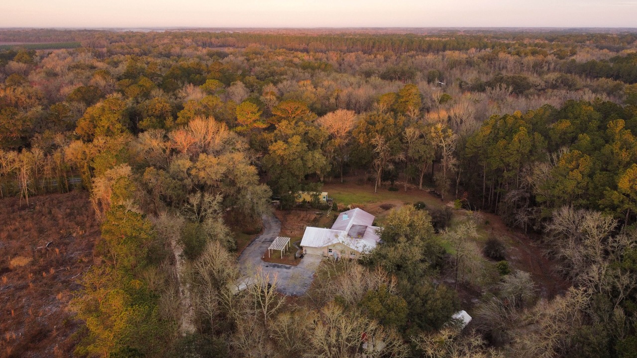 Photo of Outdoor in Alachua