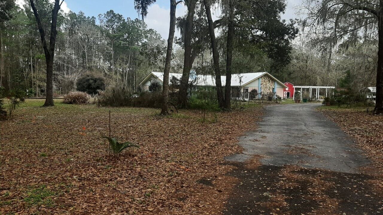 Photo of Outdoor in Alachua