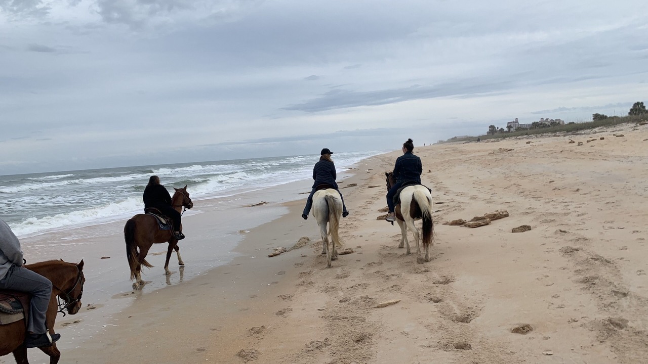 Photo of Others in Flagler Beach