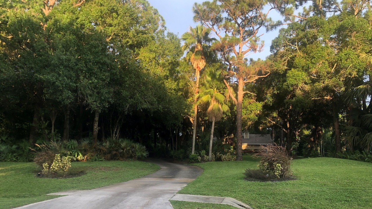 Photo of Outdoor in Palm City