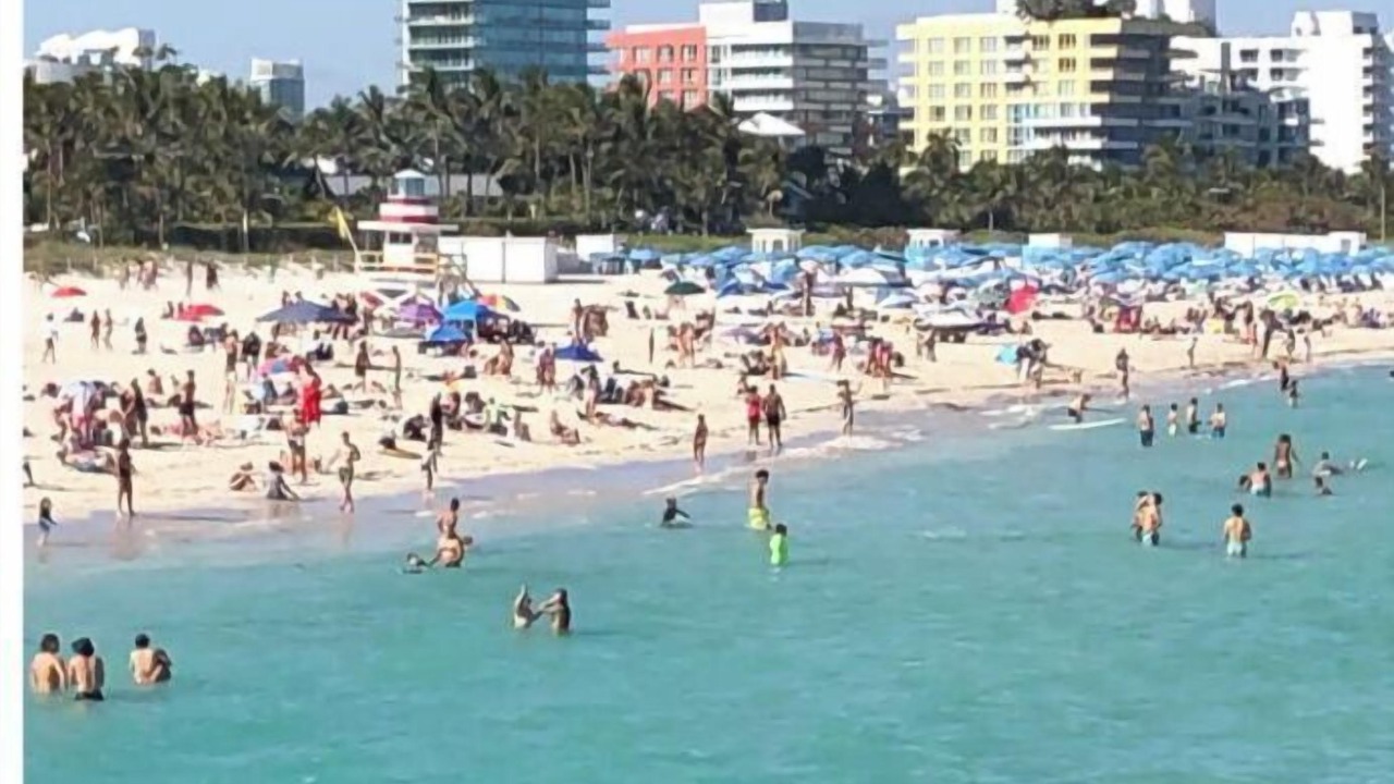 Photo of Others in South of Fifth
