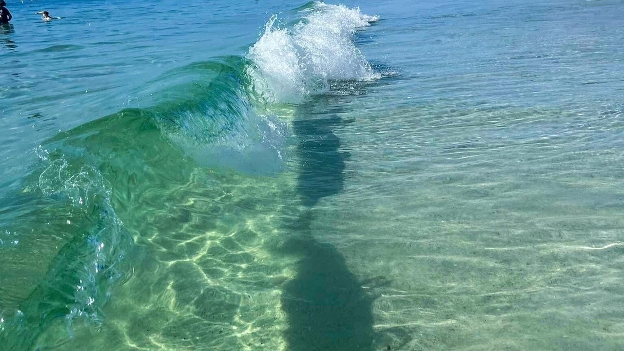 Photo of Others in Redington Shores