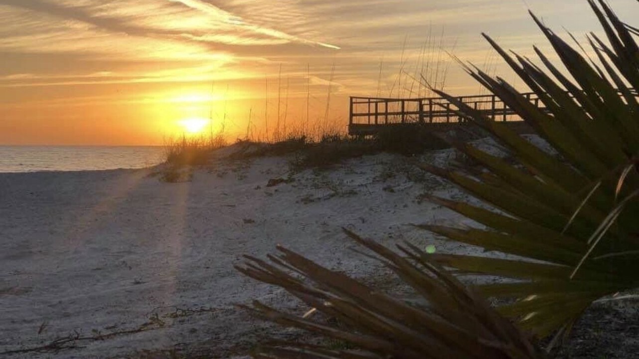 Photo of Others in Redington Shores