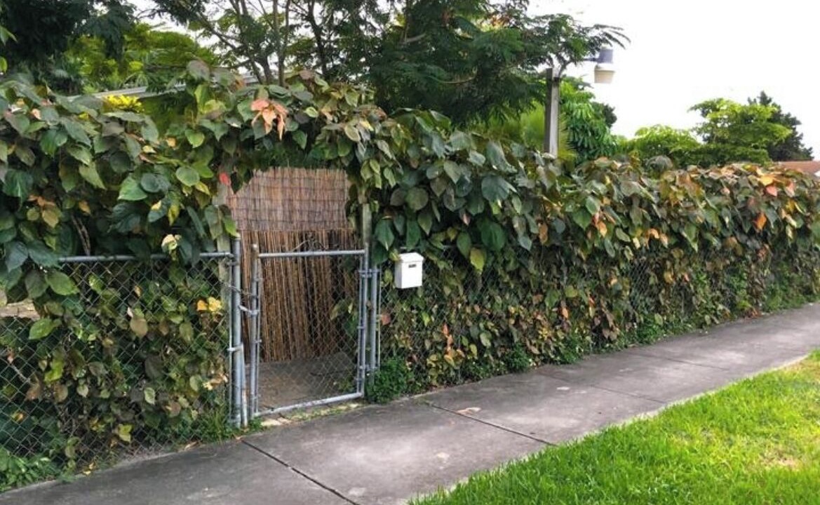Photo of Outdoor in Cutler Bay