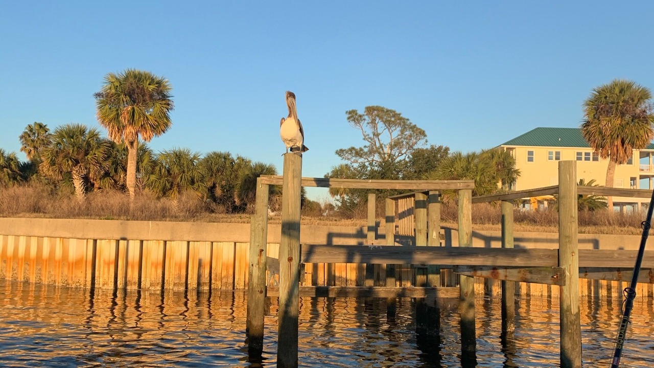 Photo of Outdoor in Panacea
