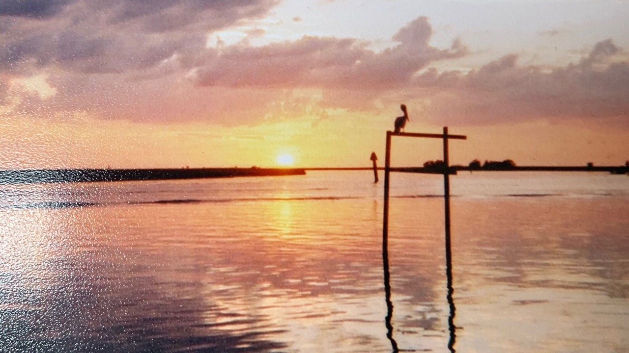 Photo of Others in Panacea