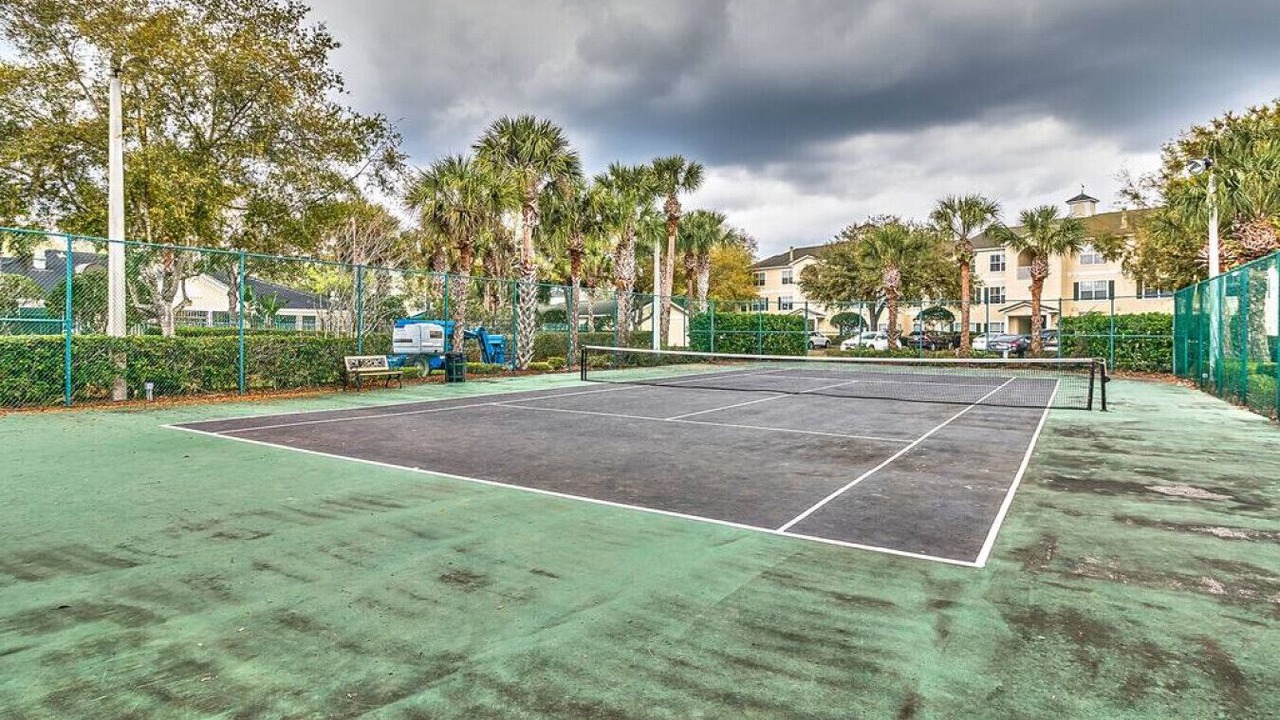 Photo of Outdoor in New Tampa