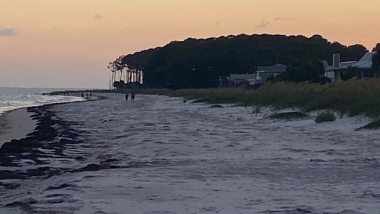 Photo of Others in Alligator Point