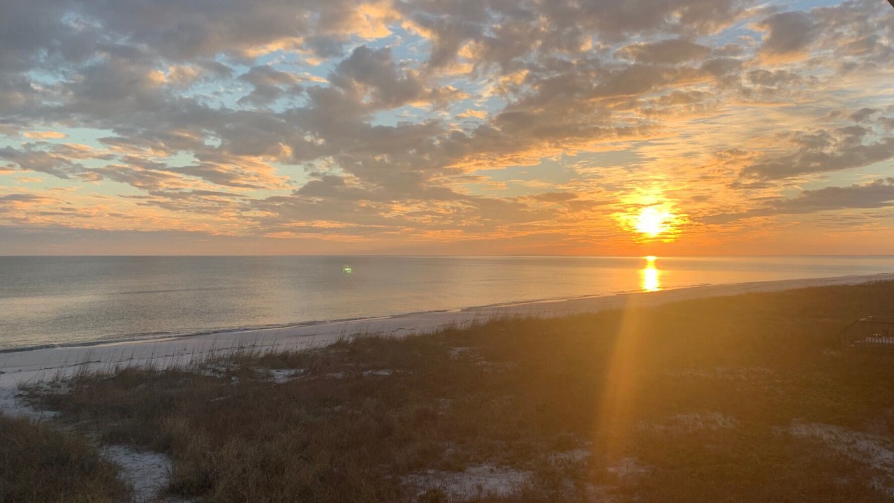 Photo of Others in Alligator Point