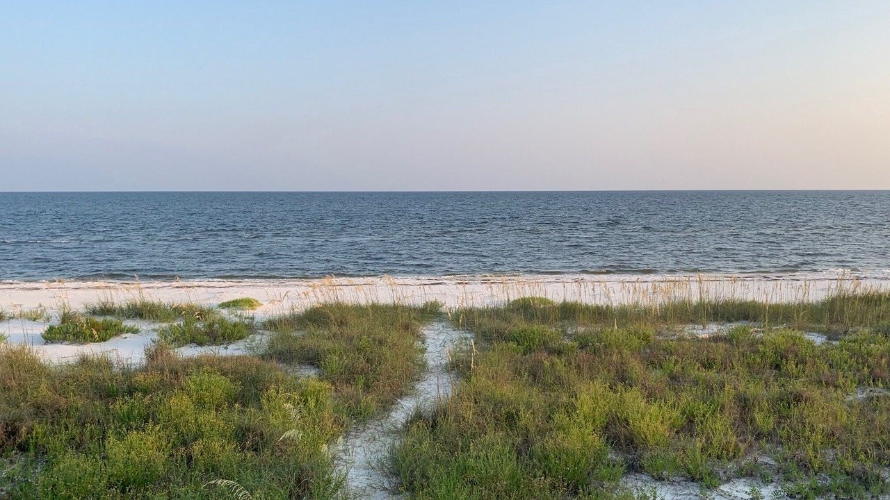 Photo of Others in Alligator Point