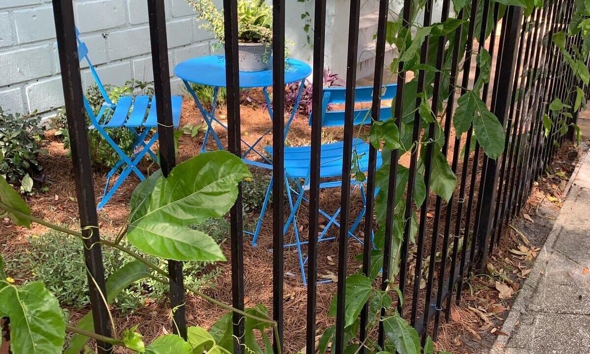 Photo of Outdoor in Urban Core