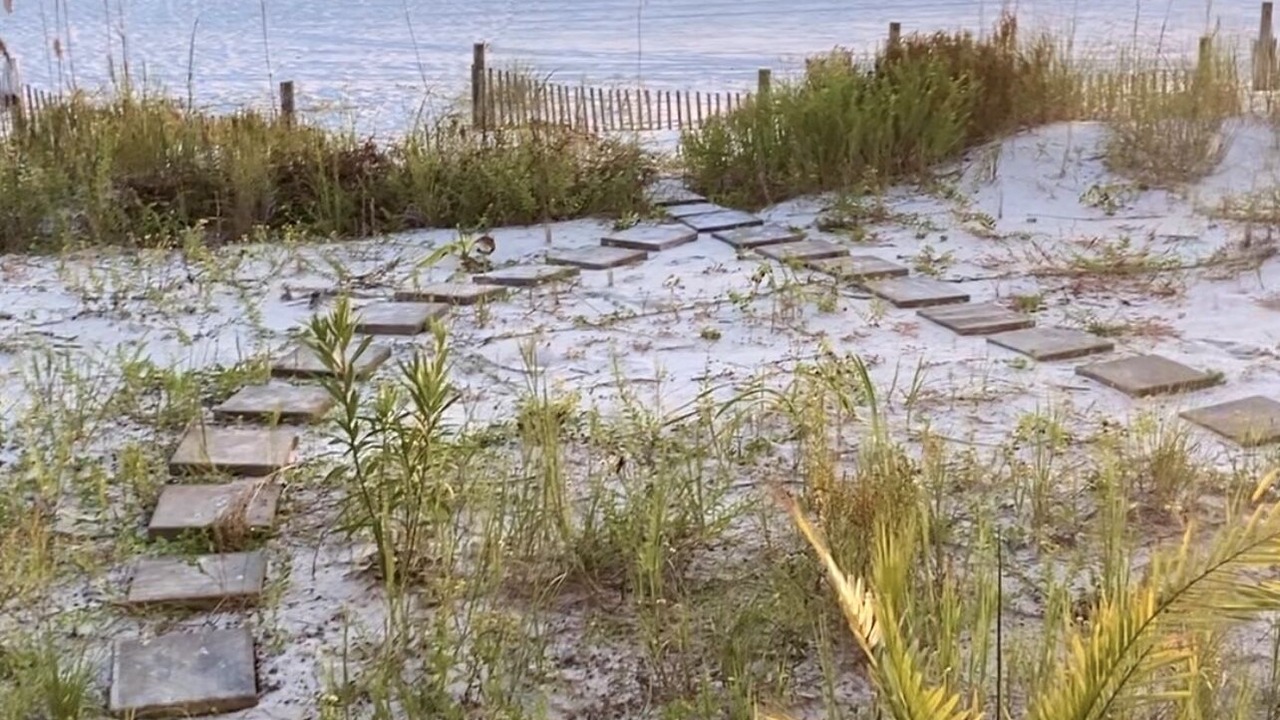 Photo of Others in Mexico Beach