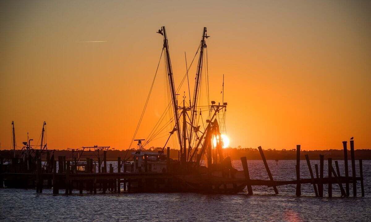 Photo of Others in Fernandina Beach