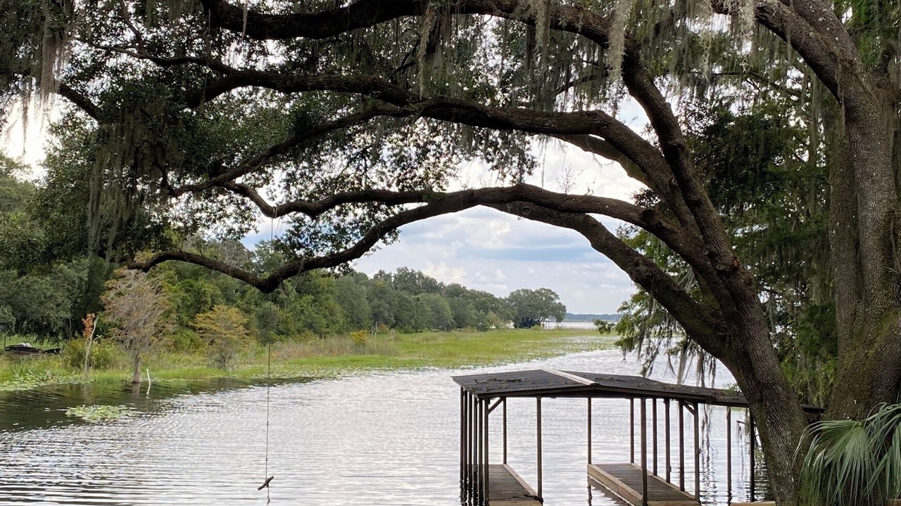 Photo of Outdoor in Hernando