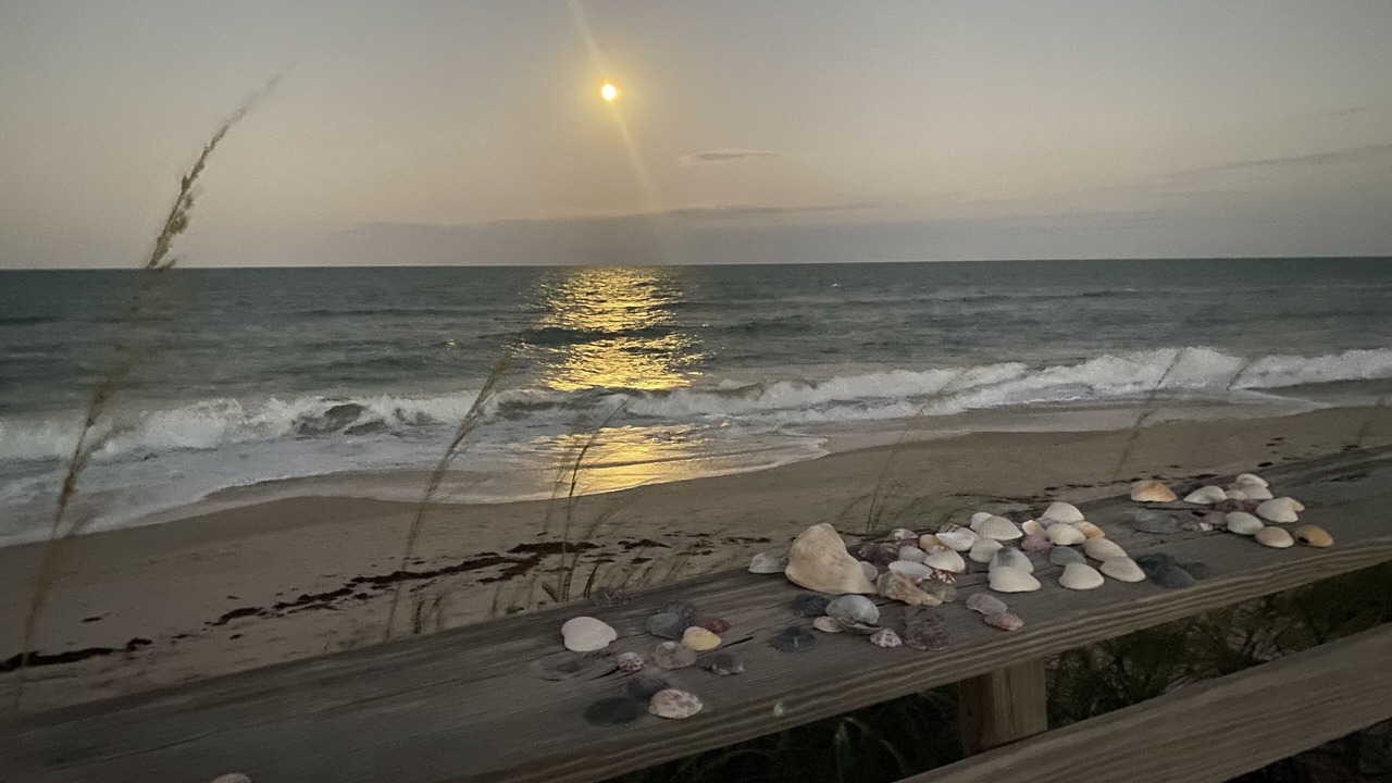 Photo of Others in Floridana Beach