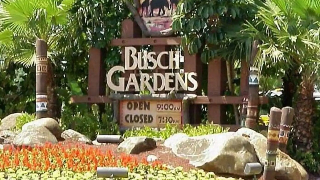 Photo of Others in Citrus Park