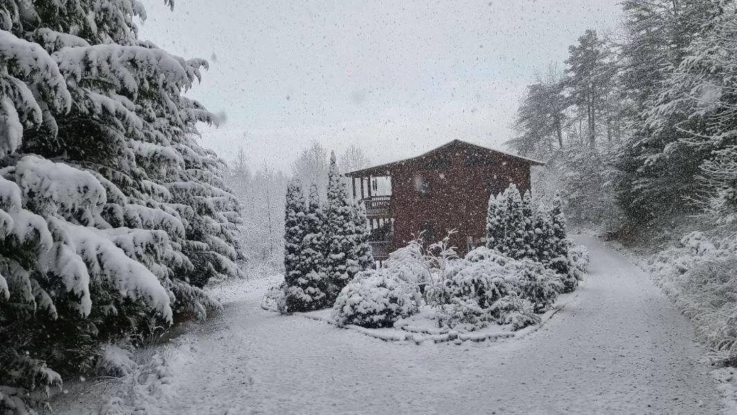 Photo of Others in Murphy