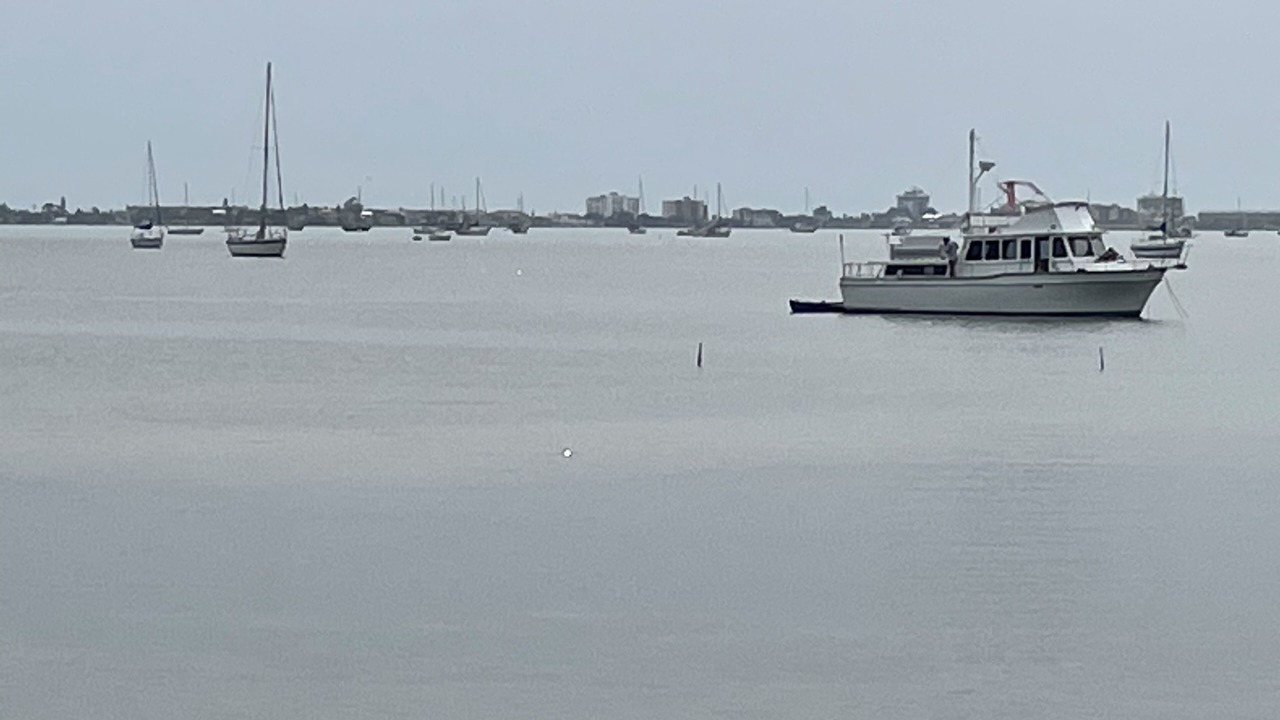 Photo of Others in Bayview