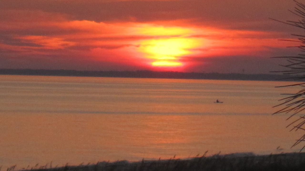 Photo of Others in Alligator Point