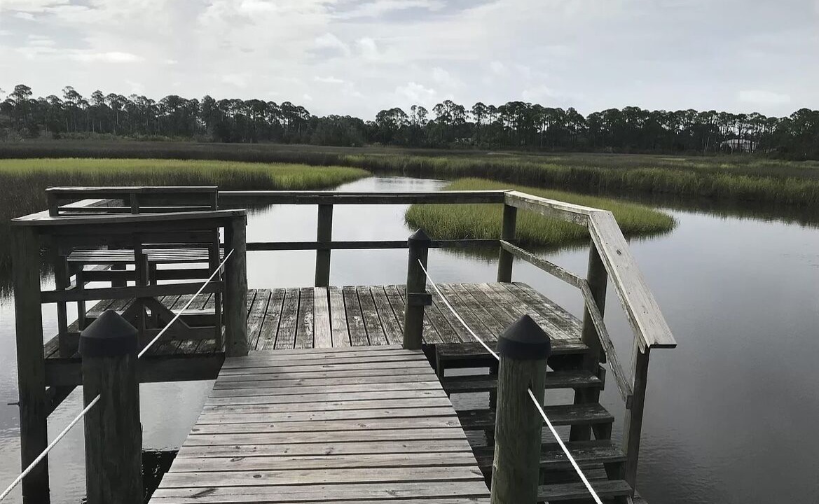 Photo of Outdoor in Panacea