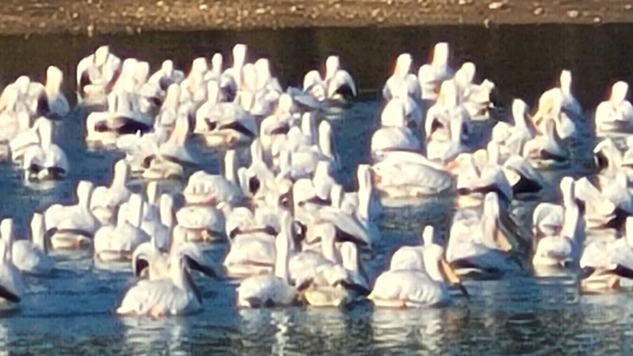 Photo of Others in Lincoln