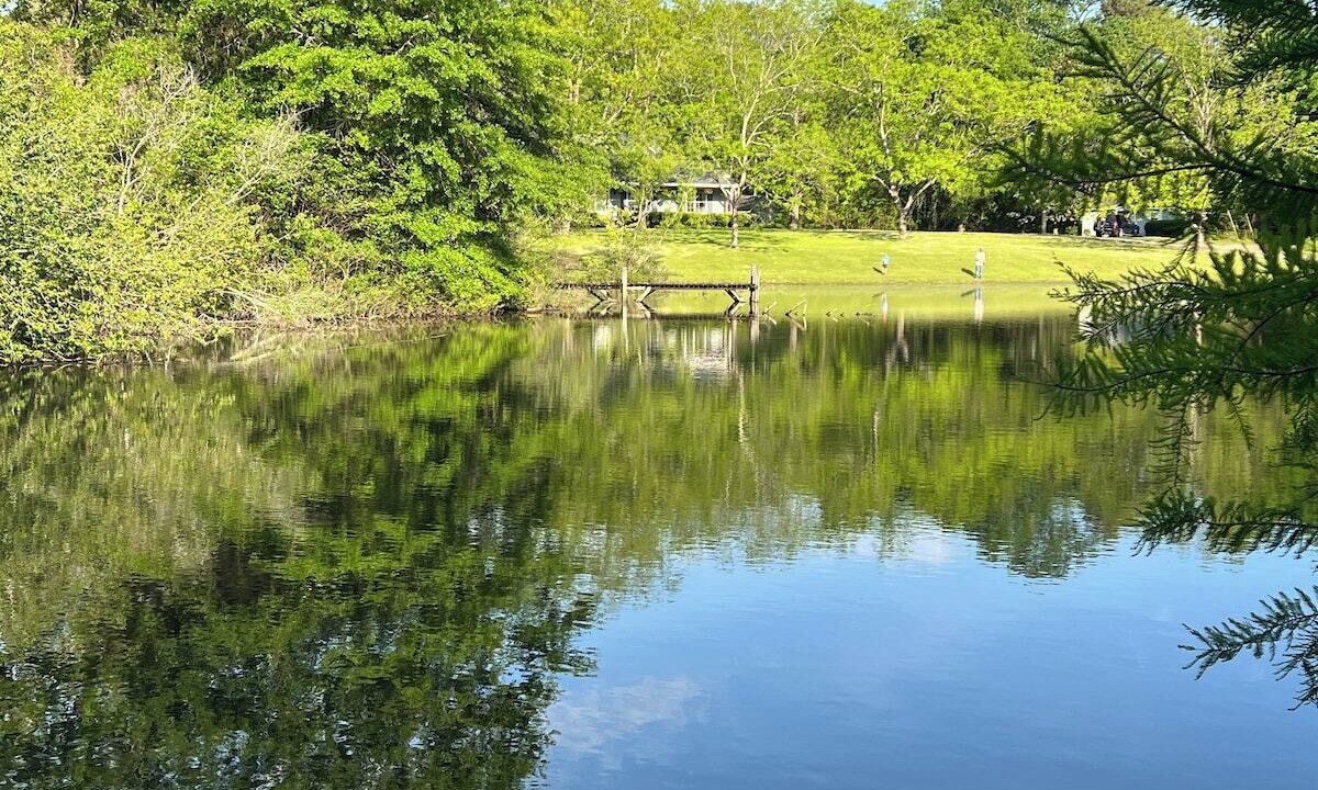 Photo of Outdoor in Auburn - Opelika