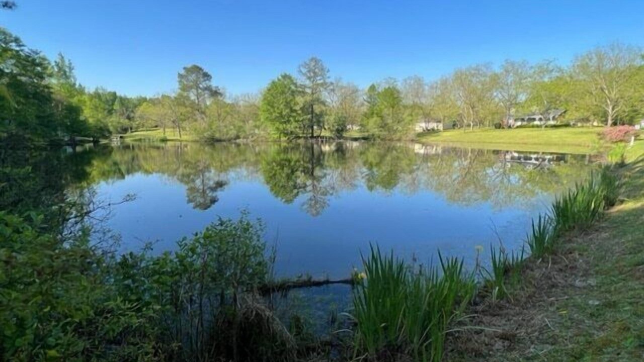 Photo of Others in Auburn - Opelika