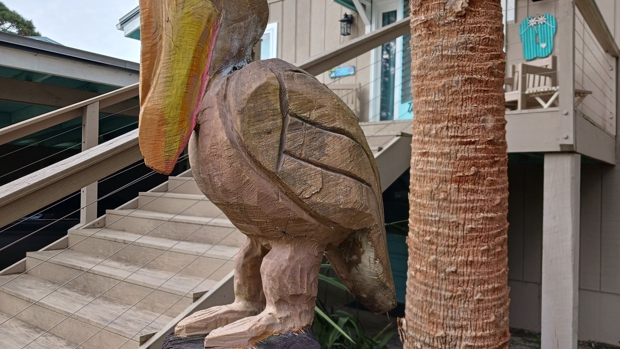 Photo of Outdoor in Alligator Point
