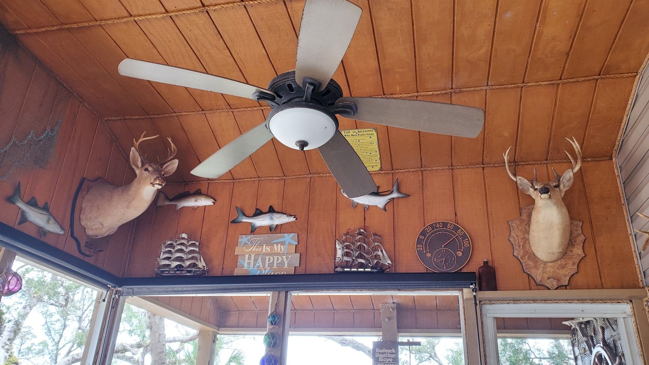 Photo of Outdoor in Homosassa