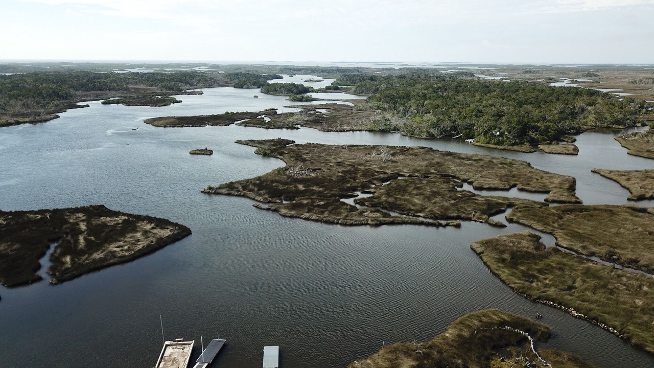 Photo of Outdoor in Homosassa