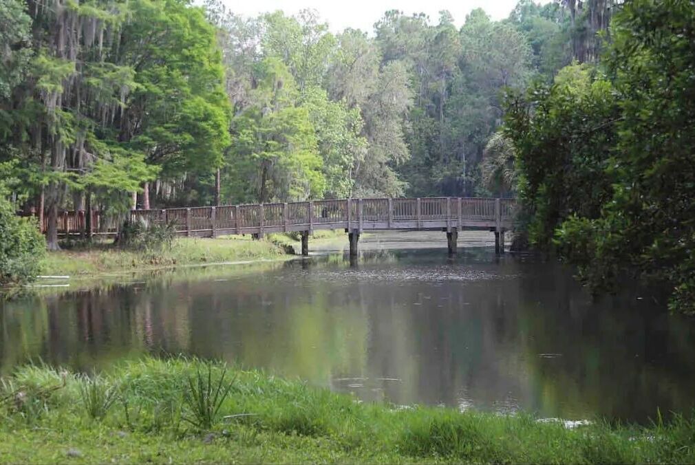 Photo of Others in Oldsmar