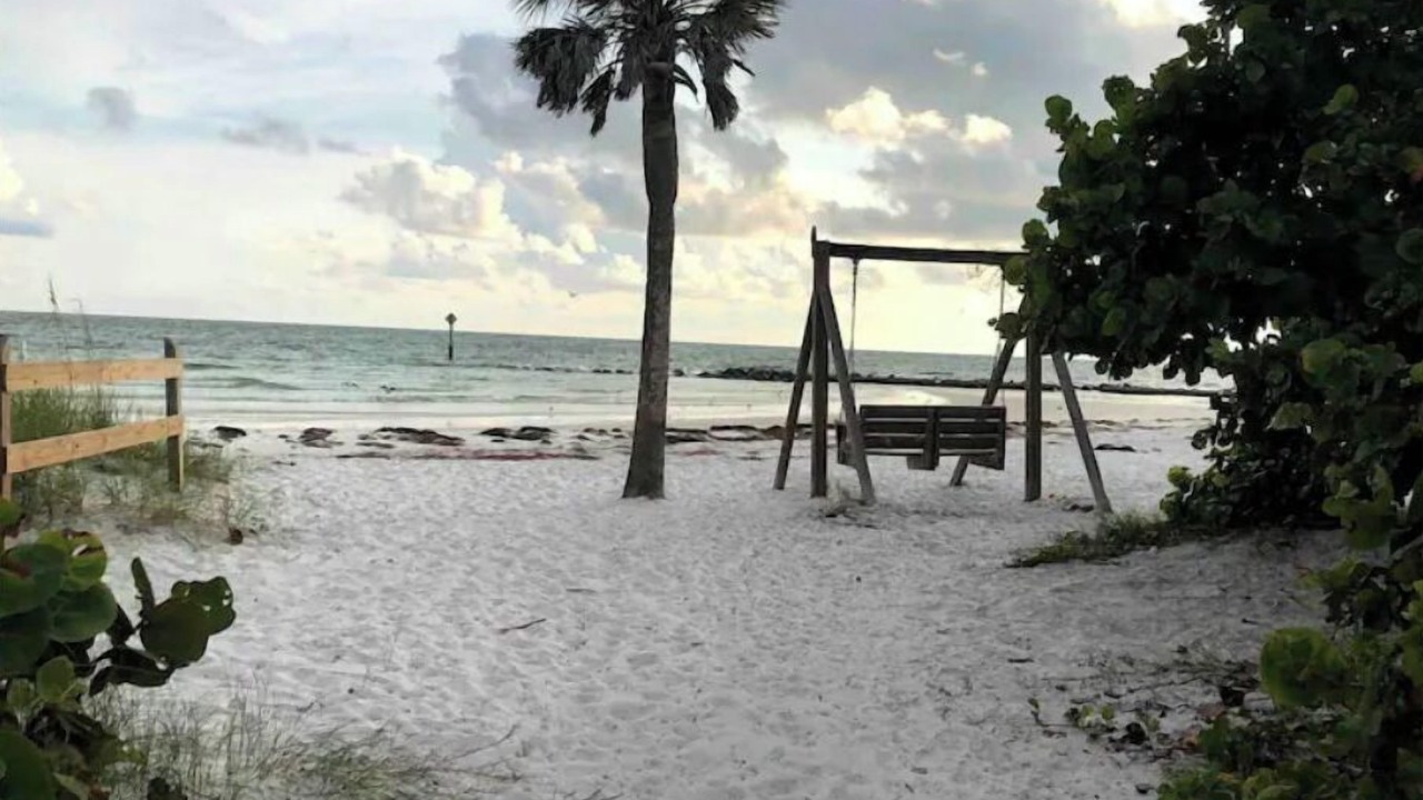 Photo of Others in Oldsmar