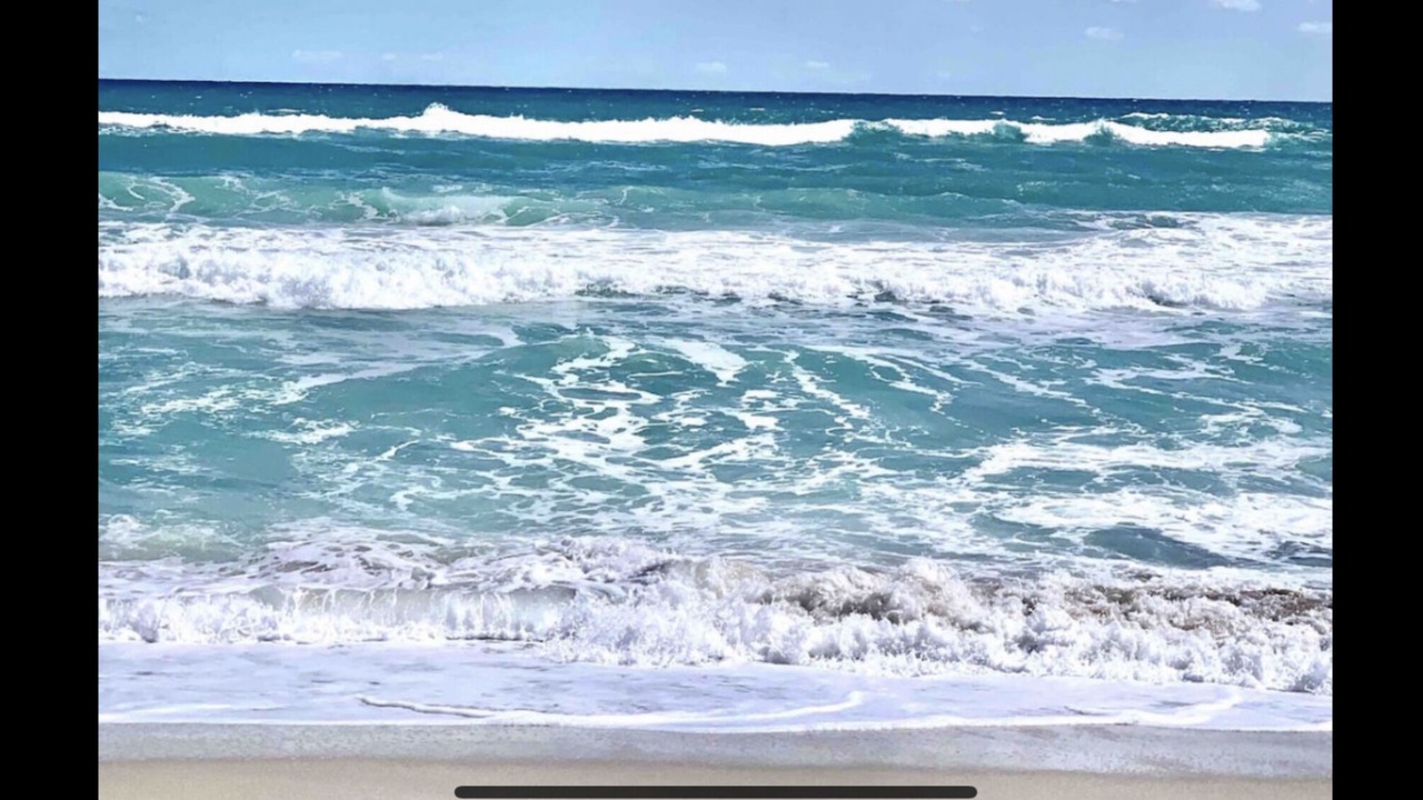 Photo of Others in Palm Beach - West Palm Beach