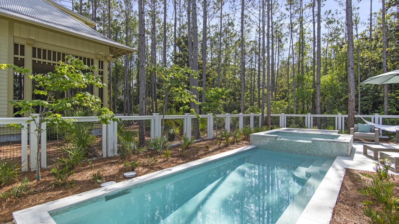Photo of Outdoor in Forest District