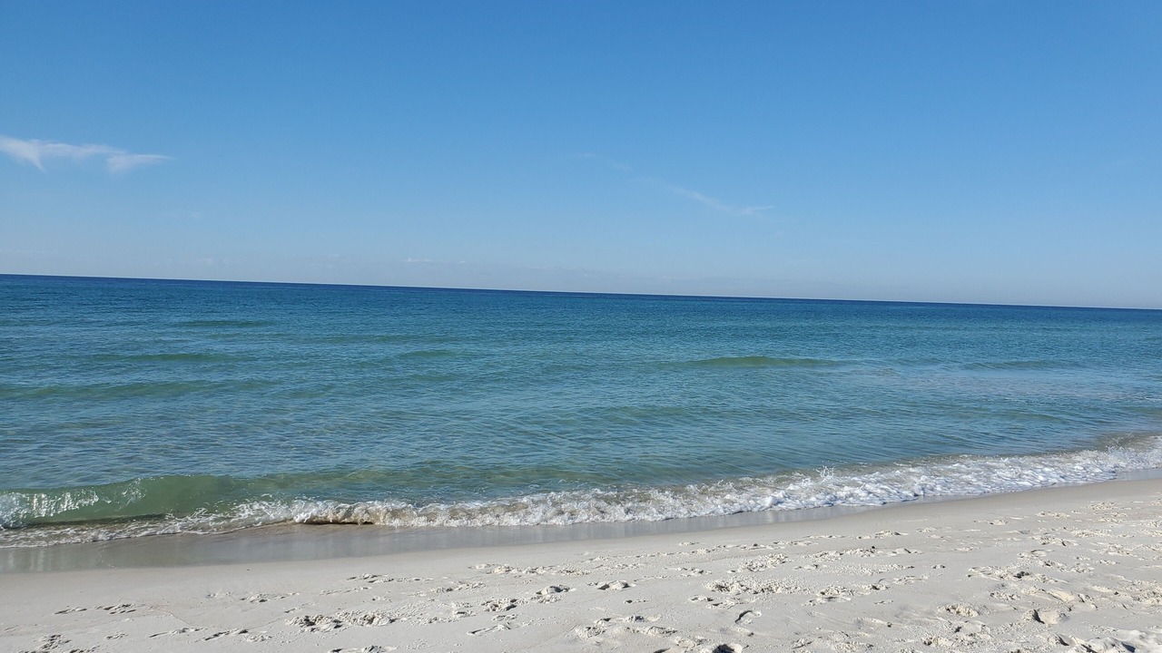 Photo of Others in El Centro Beach
