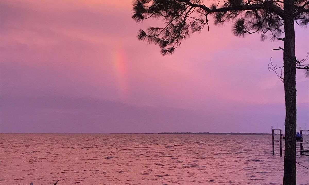Photo of Others in Carrabelle