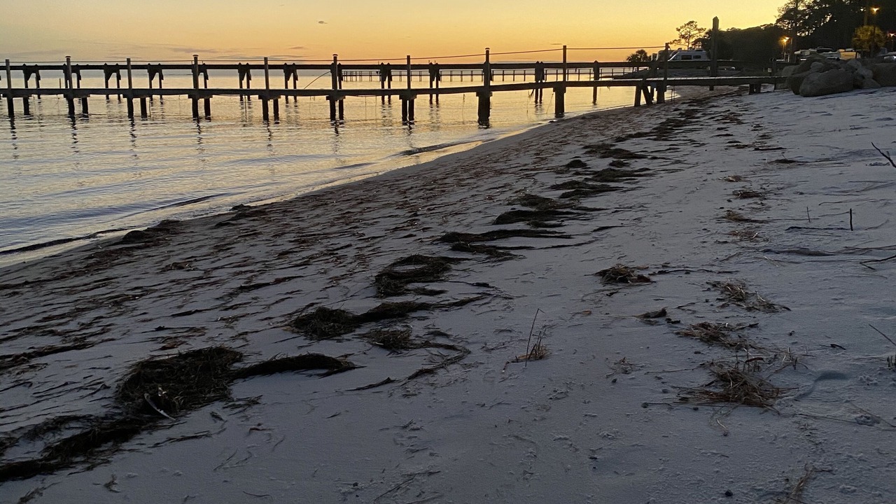 Photo of Others in Carrabelle