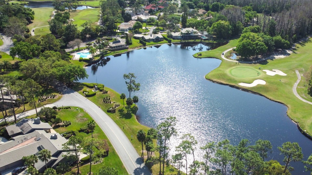 Photo of Others in Wesley Chapel