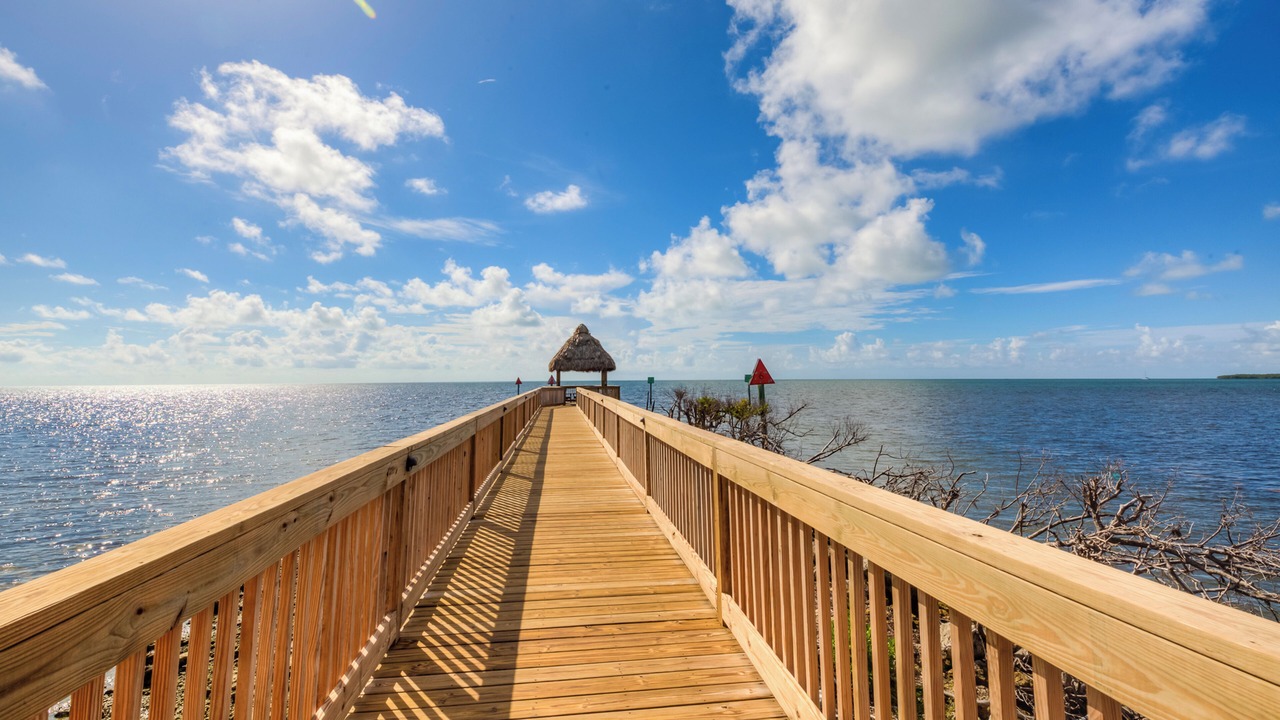 Photo of Others in Tavernier