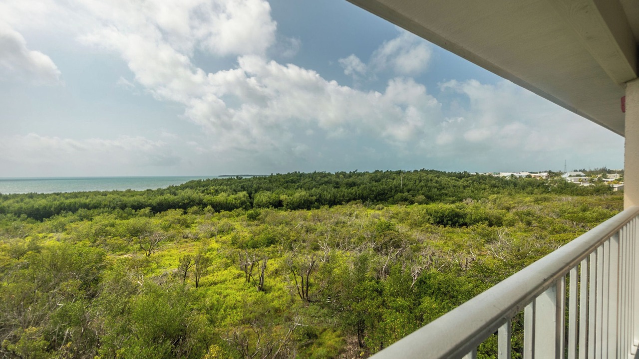 Photo of Patio Balcony in Tavernier