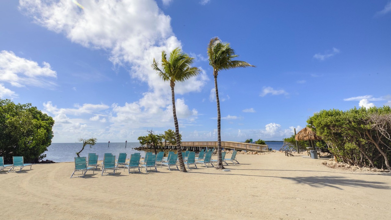 Photo of Others in Tavernier