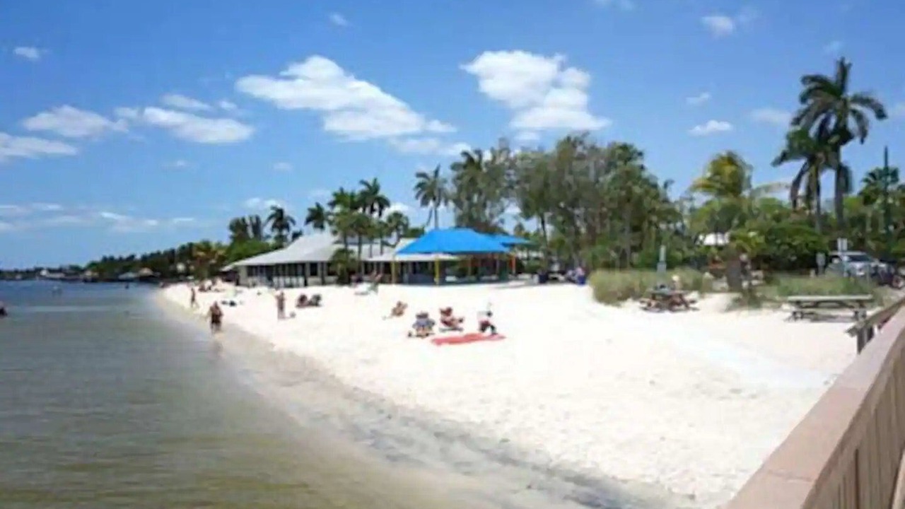 Photo of Others in Cape Harbour