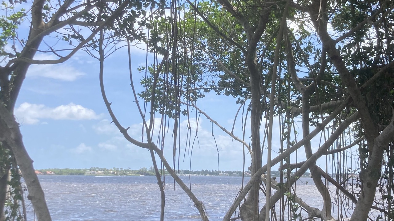 Photo of Others in Palm City