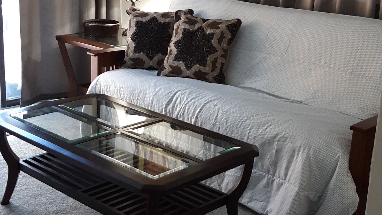 Photo of Livingroom in Safety Harbor