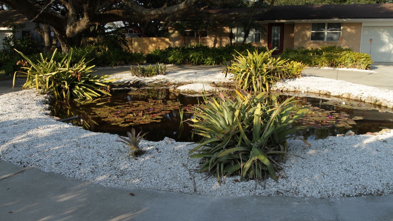 Photo of Outdoor in Brown Island